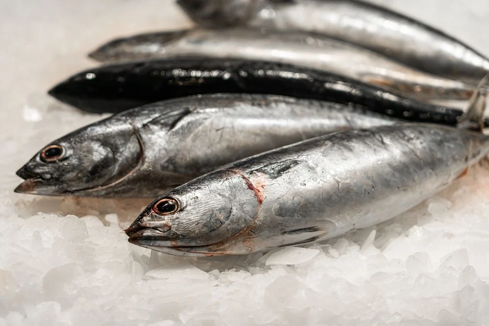 Imagem da publicação COMO CONSERVAR PEIXE NA GELADEIRA