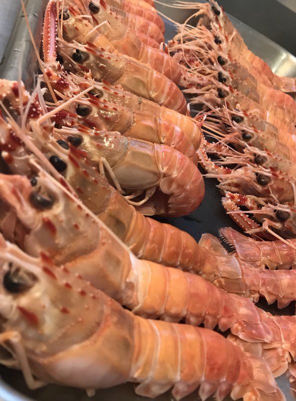 Trabalho de Cucina Regiani